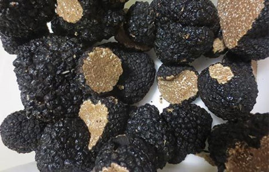 truffles