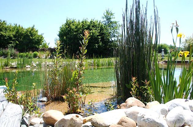 Une piscine écologique pour prendre soin de l'environnement