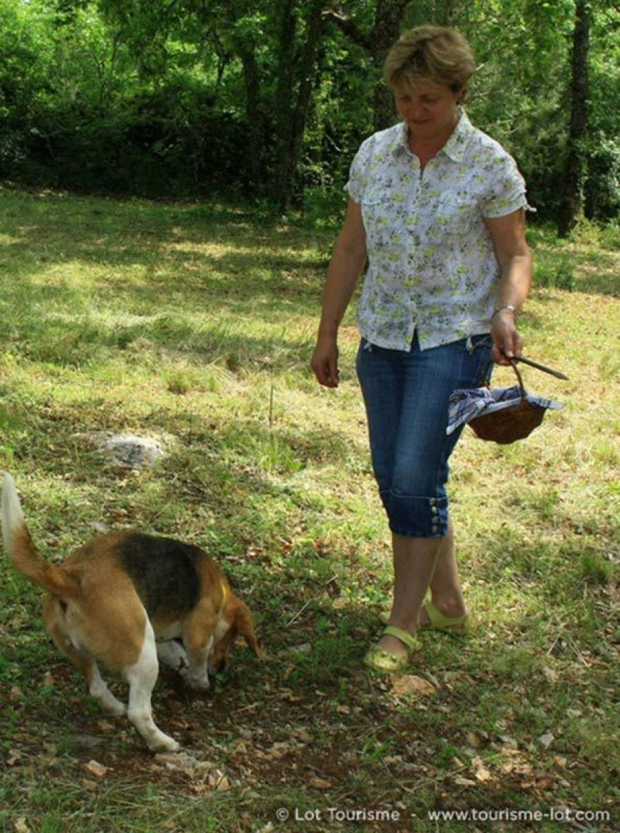 Visit of a truffle