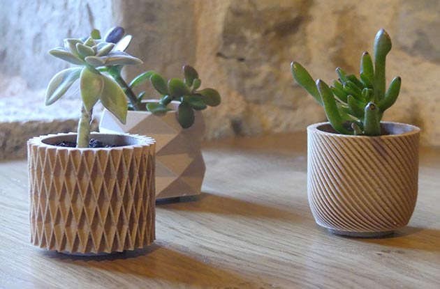 D&eacute;coration v&eacute;g&eacute;tale