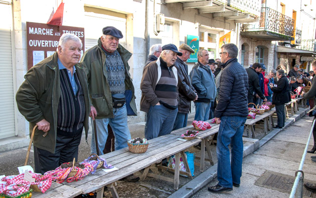 Marché aux truffes - photo lot tourisme C. Novello