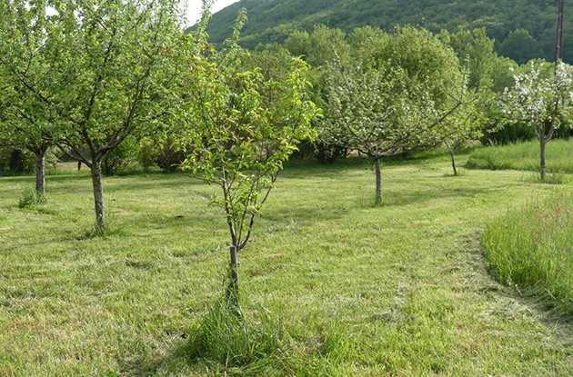 Des g&icirc;tes traditionnels et confortables