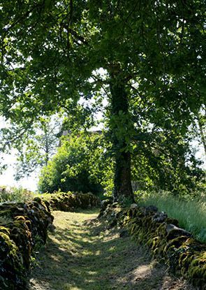 balades et randonnées